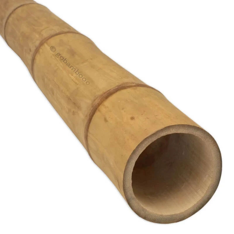 Bambusová tyč Guadua tyč Ø 11-13 cm