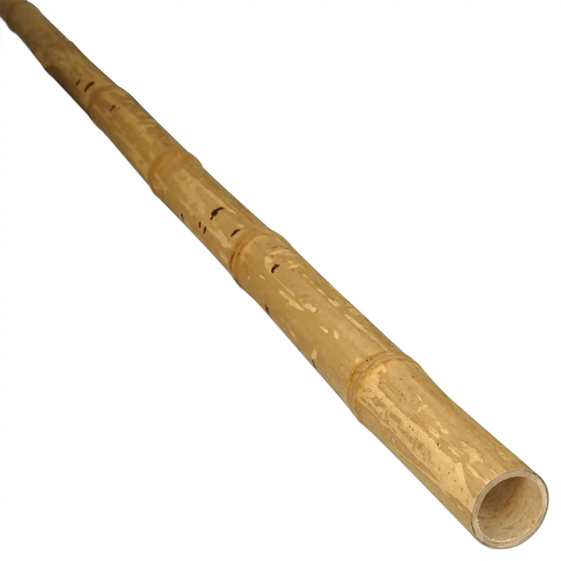 Bambusová tyč Guadua tyč Ø 5-7 cm