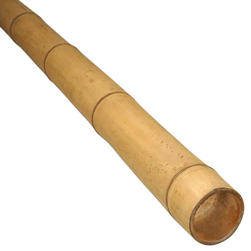 Bambusová tyč Guadua tyč Ø 7-9 cm